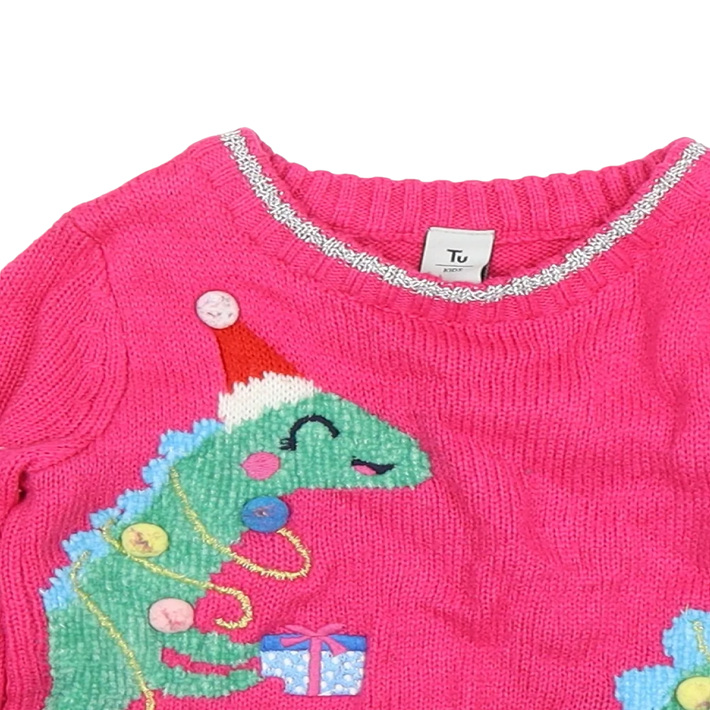 Girls best sale dinosaur jumper