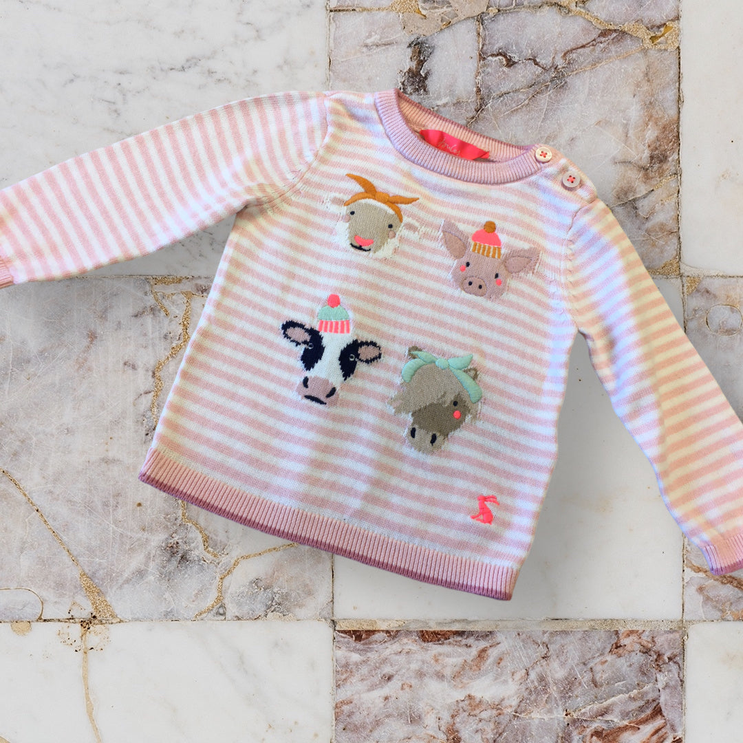 Joules shop baby jumper