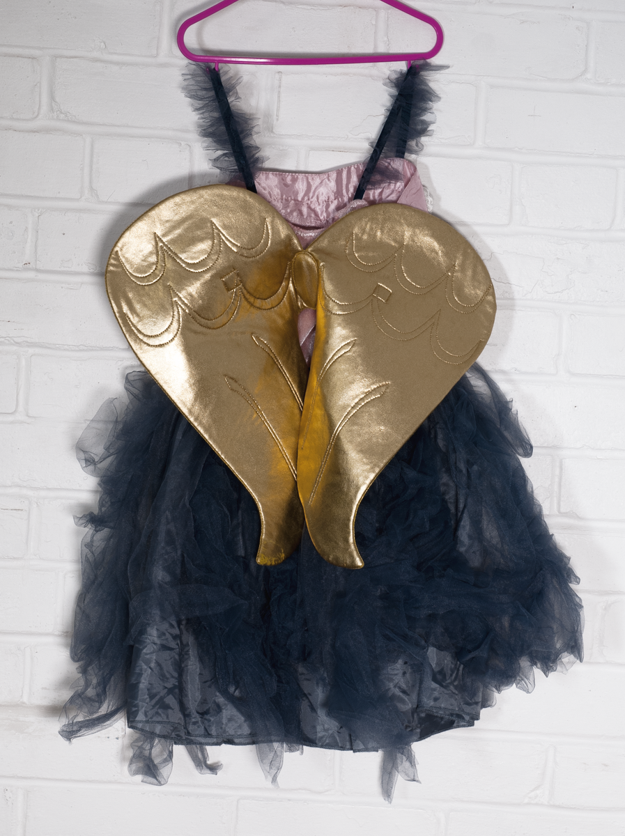 Second hand fancy top dress costumes near me