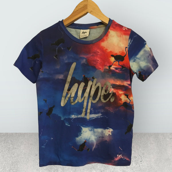 Hype Boys Blue/Red Ostrich Print T-Shirt - Boys 9-10yrs