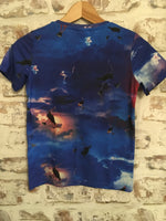 Hype Boys Blue/Red Ostrich Print T-Shirt - Boys 9-10yrs